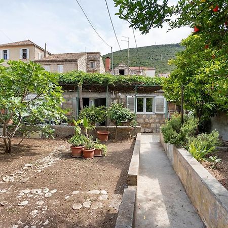 Apartments Martinis Βις Εξωτερικό φωτογραφία